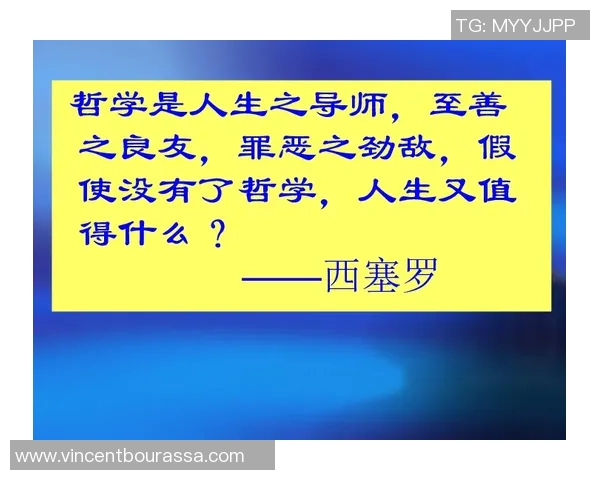 飞盘梦想与人生哲学:陈伟的深度对话与成长之路 飞盘梦想与人生哲学:陈伟的深度对话与成长之路