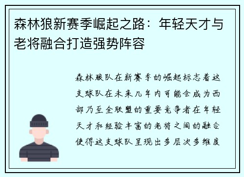 森林狼新赛季崛起之路：年轻天才与老将融合打造强势阵容