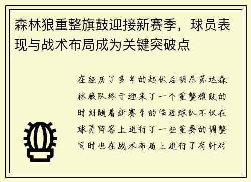 森林狼重整旗鼓迎接新赛季，球员表现与战术布局成为关键突破点