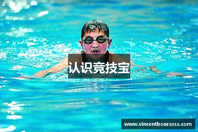 认识竞技宝